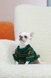 Свитер для собак Dogs Bomba в'язаний Burberry смарагд Y-366 7 р. - изображение 7
