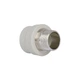 Муфта PPR Blue Ocean 63х2" ЗР - изображение 1
