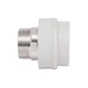Муфта PPR Thermo Alliance 63х2" ЗР - изображение 4