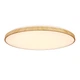 Стельовий світильник Candellux 16-33949 TENS - зображення 2