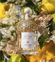Туалетная вода унисекс Guerlain Aqua Allegoria Bergamote Calabria 75 мл - изображение 3