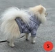 Худи для собак и кошек DIEGO hoodie Серые буквы серый трикотаж двухнитка Размер XL универсальное капюшон на липучке декоративный карман с лейбой - изображение 6
