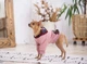 Худи для собак и кошек DIEGO hoodie розовое трикотаж трехнитка хлопок Размер XXL унисекс мягкая дышащая ткань капюшон на липучке цветочный принт декоративный карман - изображение 5