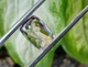 Аметрин 14.34Ct. 16.1 X 11.7 X 10 mm (228058) - изображение 4