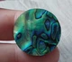 Абалон 32.25 Ct (60715) - изображение 3