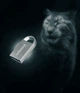 USB флешка 64Гб Wibrand Lynx серебро USB 2.0 металл для хранения и переноса данных - изображение 6