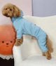 Костюм Dogs Bomba з кишенею бірюзовий Dogs Bomba D-226/9 - зображення 1