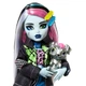 Кукла Монстер Хай Фрэнки Штейн с питомцем Monster High Frankie Stein with Pet Dog Watzie Mattel - изображение 5