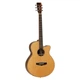 Электроакустическая гитара TANGLEWOOD TJ4 CE - изображение 1