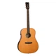 Электроакустическая гитара TANGLEWOOD TRS5 SE - изображение 1
