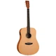 Электроакустическая гитара TANGLEWOOD TR5 E - изображение 1
