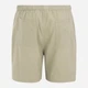 Шорты хлопковые короткие мужские Regatta Hadlinshort RMJ358-085 M Бежевые (5063516298304) - изображение 6