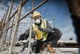 Перфоратор DeWALT D25481K, чемодан (D25481K) - изображение 3