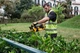 Акумуляторний кущоріз DeWALT DCM563P1, 1 акб 18V 5.0Ah, з/у (DCM563P1) - зображення 3