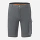 Шорты хлопковые короткие мужские Regatta BendrickShorts RMJ363-EN9 32 Серые (5063516272182) - изображение 5
