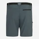 Шорты короткие мужские Regatta XertStretchShorts RMJ365-EN9 52 Серые (5063516323563) - изображение 6