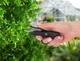 Handy Scissors Herbgarden ножиці для обрізання рослин - изображение 3