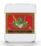 Bud Ignitor Advanced Nutrients 10L стимулятор формування кількості суцвіть - изображение 1