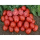 Томат 3402 F1 Spark Seeds 10 шт - изображение 1