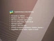 Кофемолка электрическая BITEK BT-7120 1000 Вт 220 В для кофе и специй (6329) - изображение 6