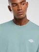 Футболка довга чоловіча Dickies DK0A4YAIL371 S Бірюзова (800070354498) - зображення 4