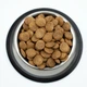 Сухий корм STARDEYL Hypoallergenic Fish 4,5 кг для дорослих собак великих та середніх порід - зображення 2