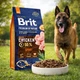 Сухий корм Brit Premium з куркою для дорослих собак усіх порід з високими витратами енергії, 15 кг - зображення 2