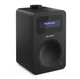 Радиоприемник колонка Sharp DR430BK Black DAB+, FM RDS, Bluetooth, сеть - изображение 1