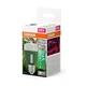 Фитолампа LED Osram T60 GROW 10W 230V E27 для растений, рассады и зелени - изображение 3