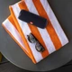 Акустическая система JBL Flip 5 Black - изображение 7