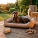 Уличная лежанка для больших собак BOSYAK Outdoor Waterproof 120x100 Бежевая (от 30 кг) - изображение 2