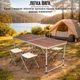 Розкладний стіл валіза з 4 стільцями для пікніка, риболовлі Folding Table 120 х 60 х 70 см (MH-5309S) Коричневий - зображення 8