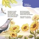 Книга «Віршенята-загадки для малят. 3–5 років». Автор - Юлія Пеліхова - изображение 4
