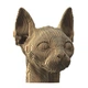 Картонный 3D пазл-конструктор "Cartonic 3D Puzzle Sphynx cat" Кот Сфинкс - изображение 2