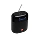 Портативная колонка JBL TUNER XL FM - изображение 1