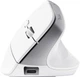 Миша Trust Bayo+ Multidevice Ergonomic, BT/WL/USB-A, біла - зображення 9