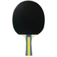 Набор для настольного тенниса Team Master Pro 2 Bats 3 Balls Joola 931833 - изображение 3