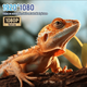 Портативний проектор HORLAT 35000 Lumen 4K Android 12 | Автофокус | 5G Wi-Fi | Bluetooth 5.3 | З підставкою - зображення 3