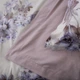 Комплект постельного белья Viluta Евро 200x220 см W-08 Brushed Warm Cotton (W08_Warm_ev) - изображение 7