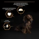 Сухой корм Purina PRO PLAN Small&Mini Adult 1+ Everyday Nutrion для взрослых собак мелких пород, с курицей 7 кг (7613035123458) - изображение 8