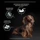 Сухой корм для взрослых собак с чувствительным пищеварением Purina Pro Plan Small&Mini 1+ Sensitive Digestion беззерновой с индейкой 7 кг (7613036731256) - изображение 8