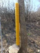 Свічка церковна з хрестом циліндр - зображення 3