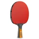 Ракетка для настольного тенниса Joola Carbon Control Red/Black (1073-930940) - изображение 3