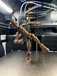 Фигурка Groot Dummy 13 Коричневый 12 См 3Д Печать - изображение 5