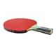 Ракетка для настольного тенниса Gewo CS Energy Carbon Pro FL Red/Black (1073-931039) - изображение 4