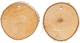 Zestaw kreatywny Creativ Company Nature Look drewniane krążki z otworem 500 g 6022941 (5712854411639) - obraz 3