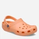 Мужские кроксы Crocs Classic Gua 10001-86A 46-47 (M12) 30 см Orange (198445262517) - изображение 2
