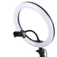 Кільцева LED лампа світлодіодна Ring Light USB 30см з тримачем смартфона та штативом 1м + Пульт Bluetooth + Мікрофон петлічка - зображення 5