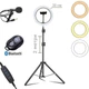 Набор блогера 4в1 Кольцевая лампа Ring Light 20см со штативом 2м + микрофон петличка + пульт Bluetooth - изображение 1