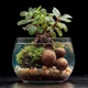 Питательные шарики Kruger Meier ProNature Ball 15 для аквариумных и террариумных растений - изображение 4